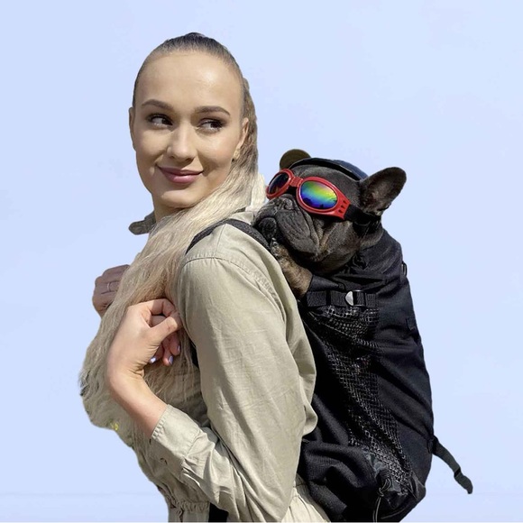 Frenchie back pack
